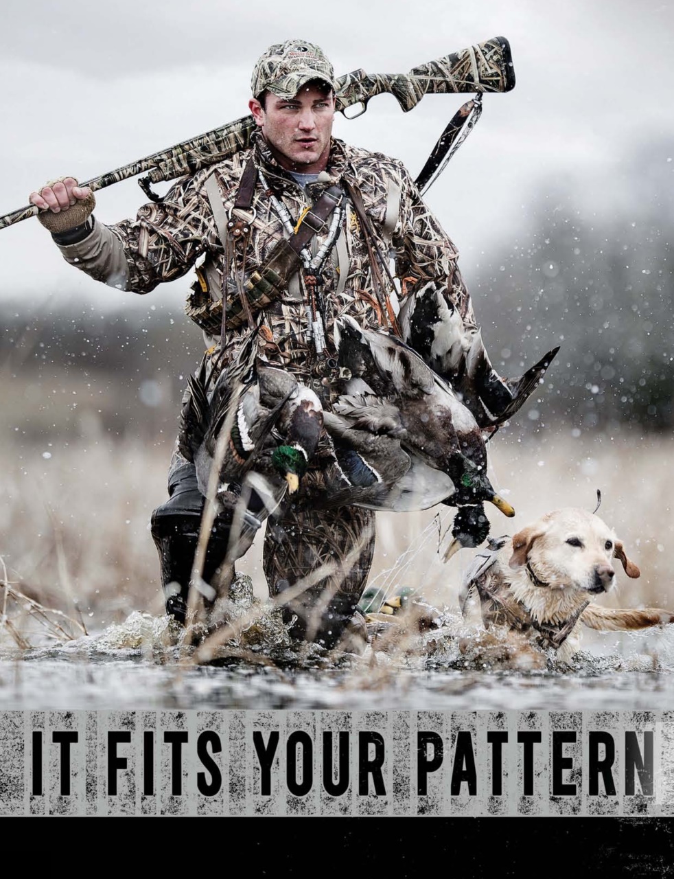 American Waterfowler Preview Pages