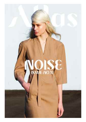 The Noise Issue issue The Noise Issue