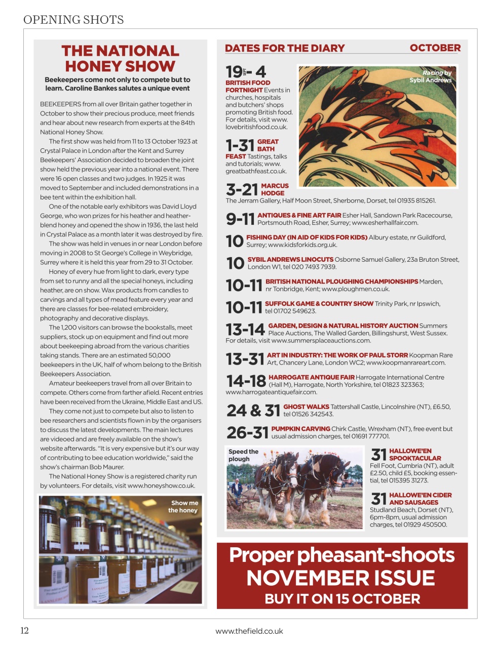 The Field Preview Pages