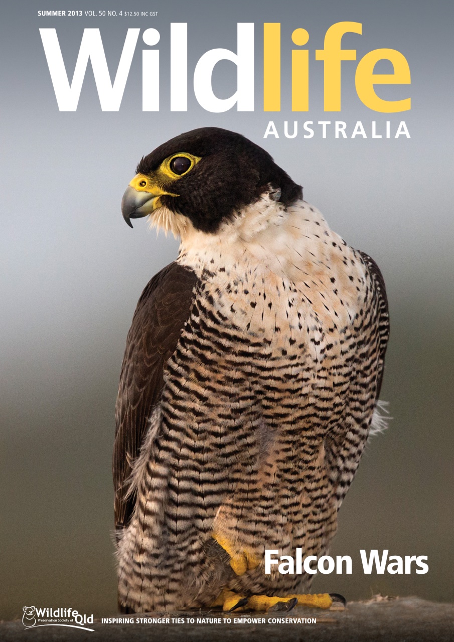 Wildlife Australia Preview Pages