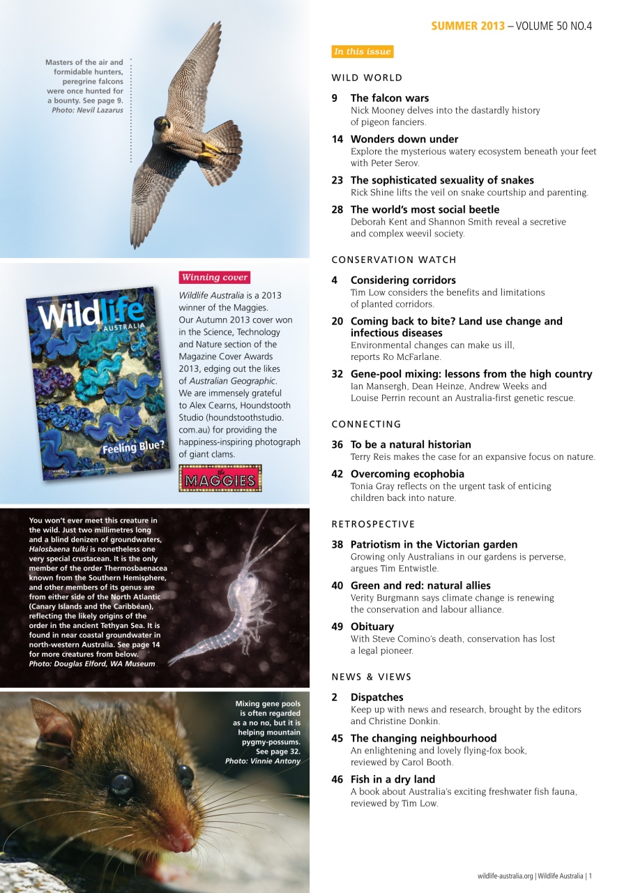 Wildlife Australia Preview Pages