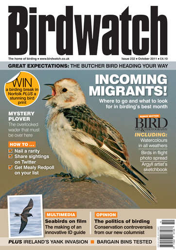 Birdwatch Magazine issue 