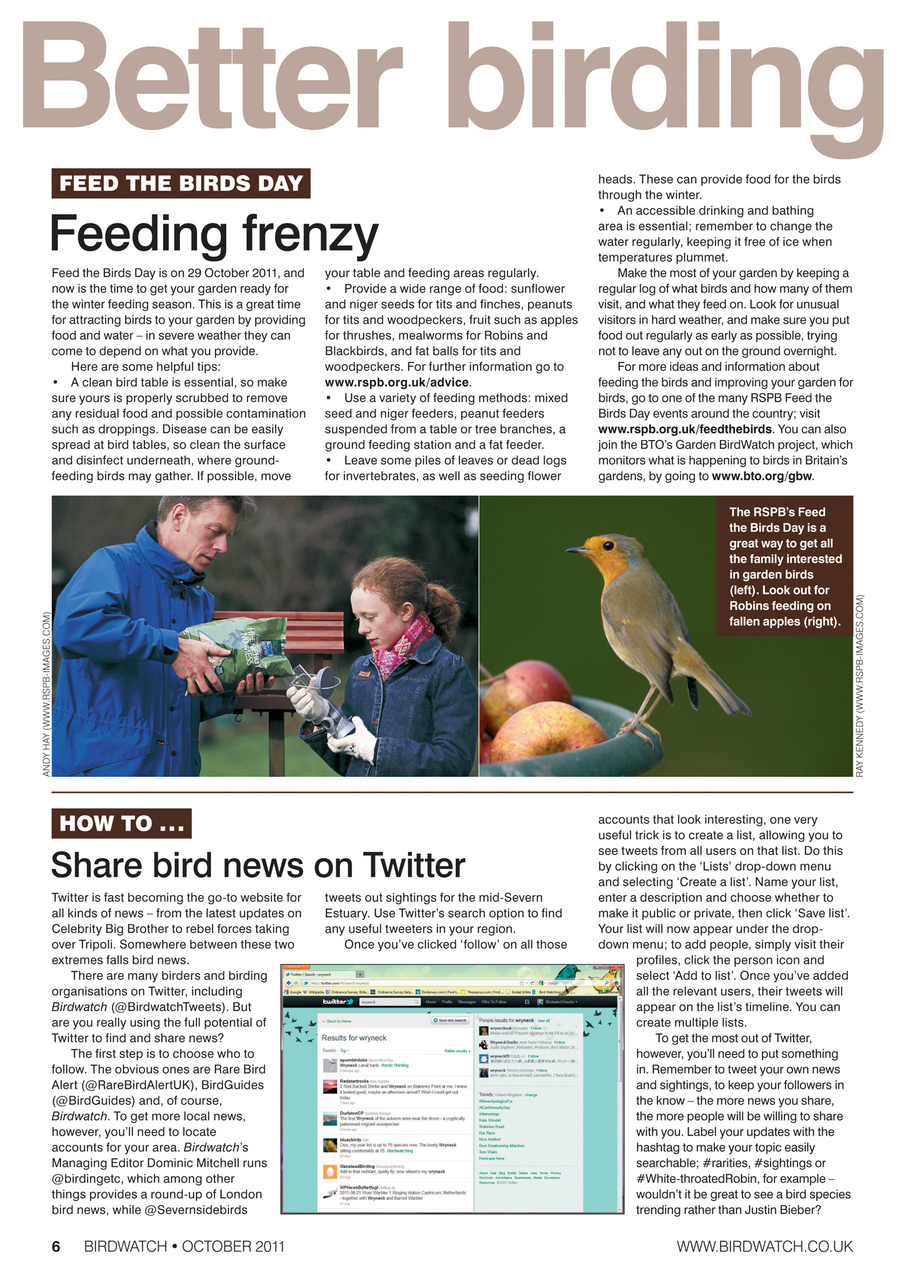 Birdwatch Magazine Preview Pages