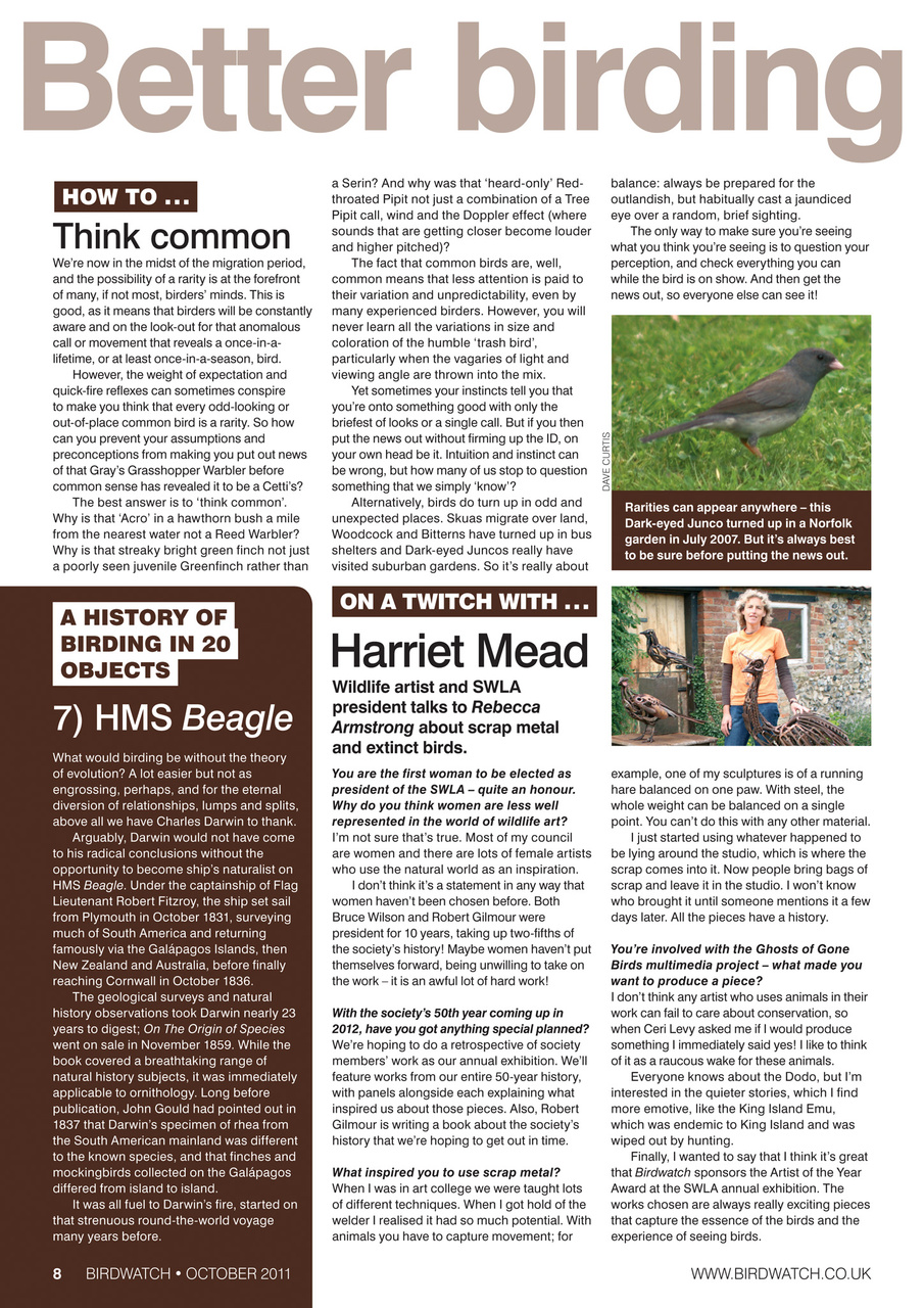 Birdwatch Magazine Preview Pages