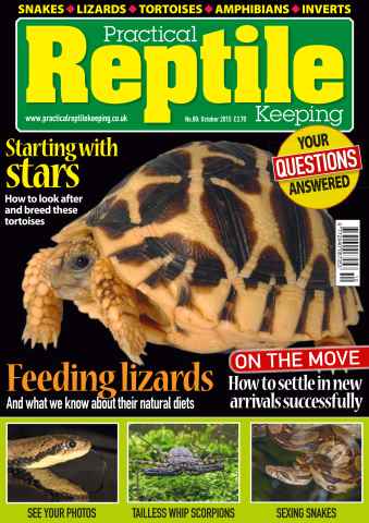 Practical Reptile Keeping issue No. 80 Starting with stars