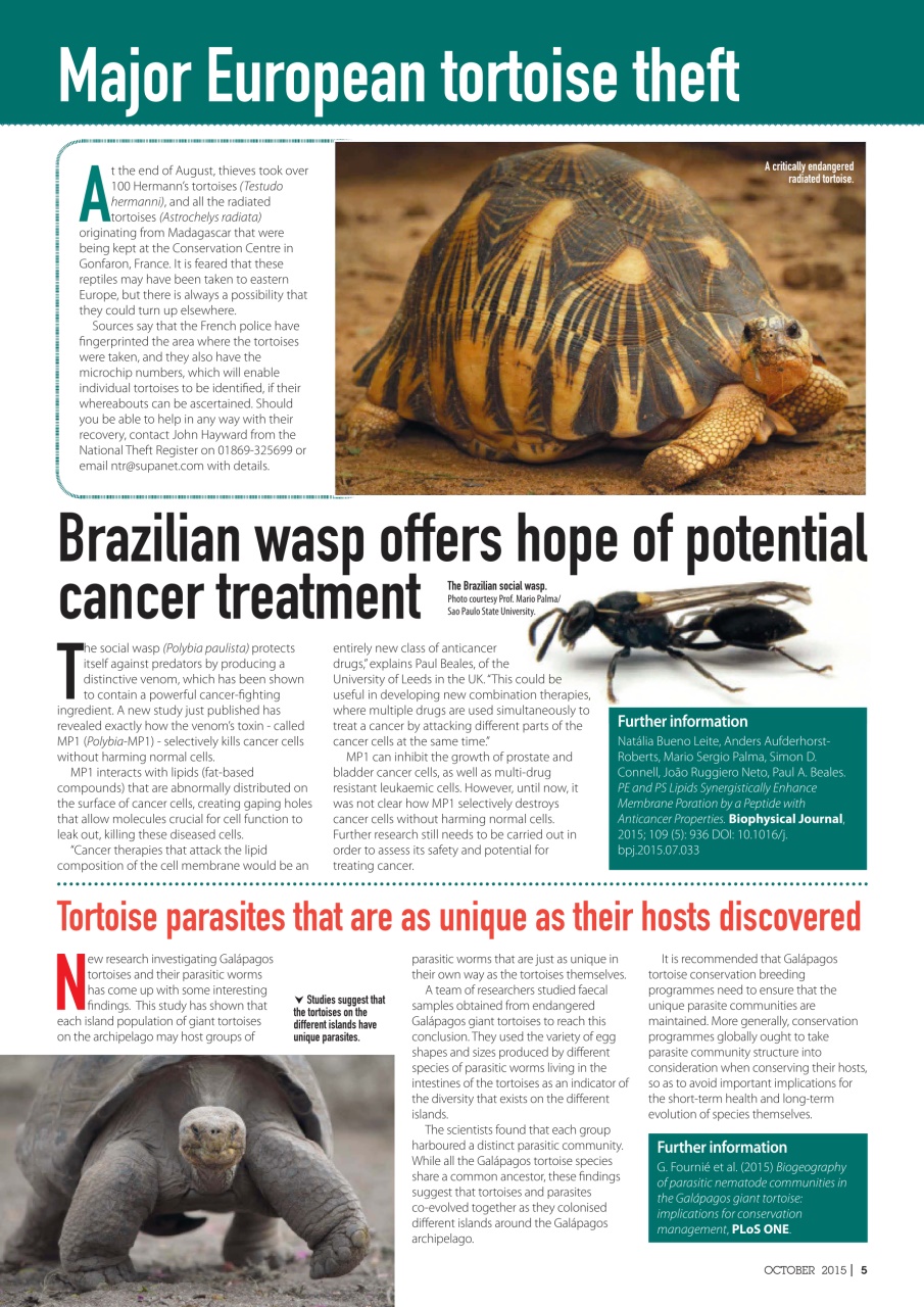 Practical Reptile Keeping Preview Pages