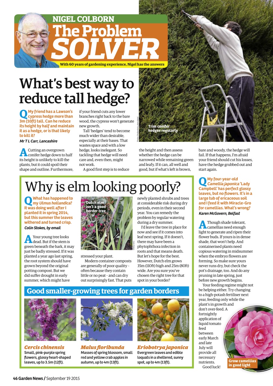 Garden News Preview Pages