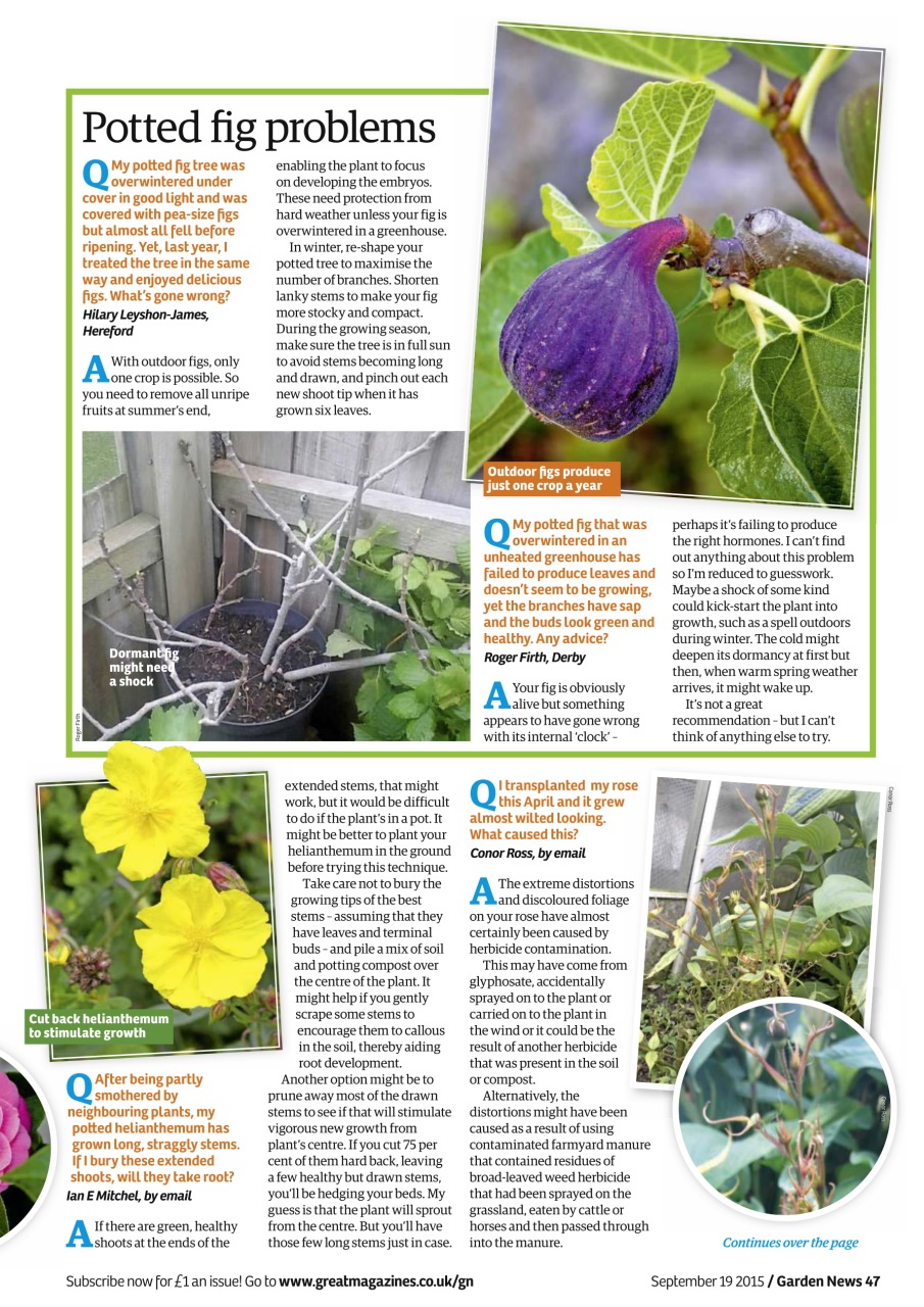 Garden News Preview Pages