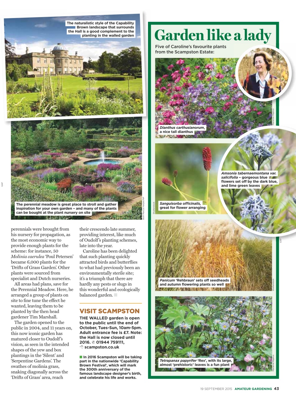Amateur Gardening Preview Pages