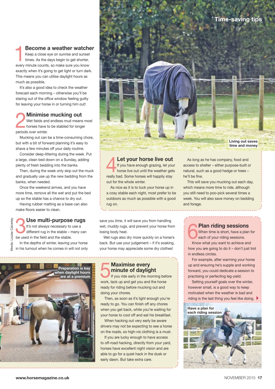 Horse Preview Pages