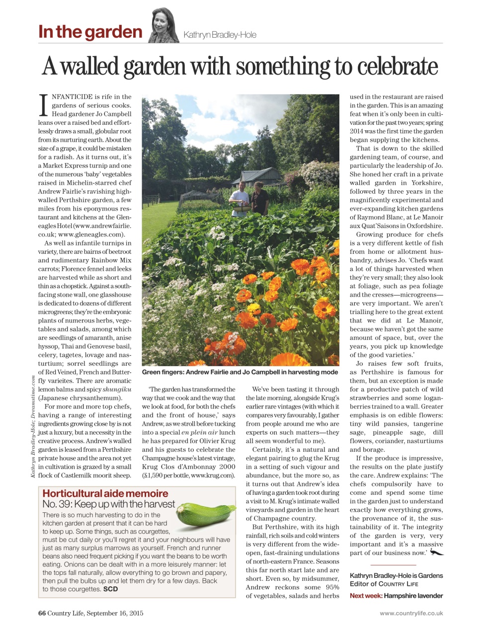 Country Life Preview Pages