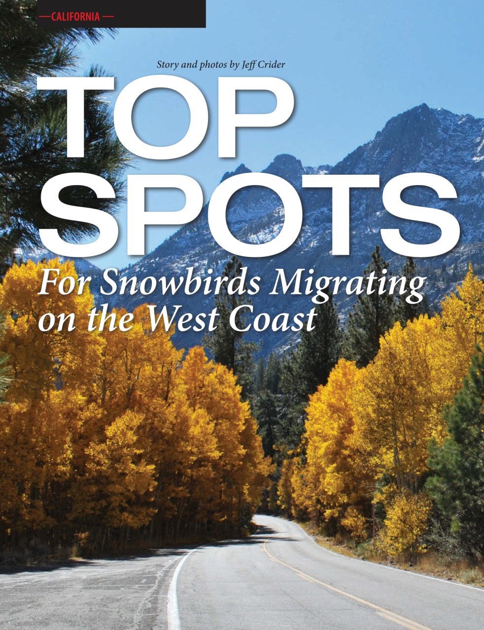 Snowbirds & RV Travelers Preview Pages