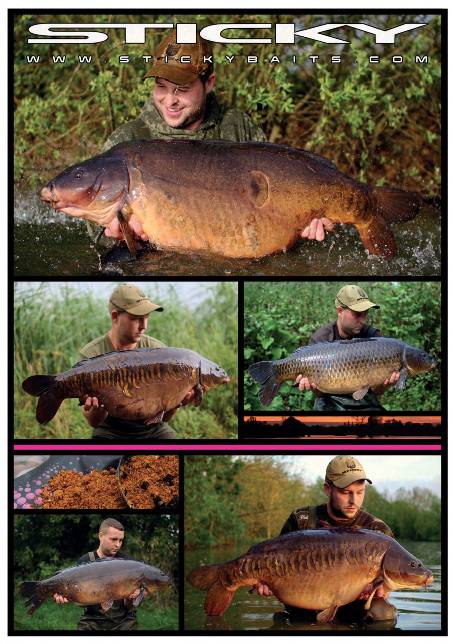 Crafty Carper Preview Pages