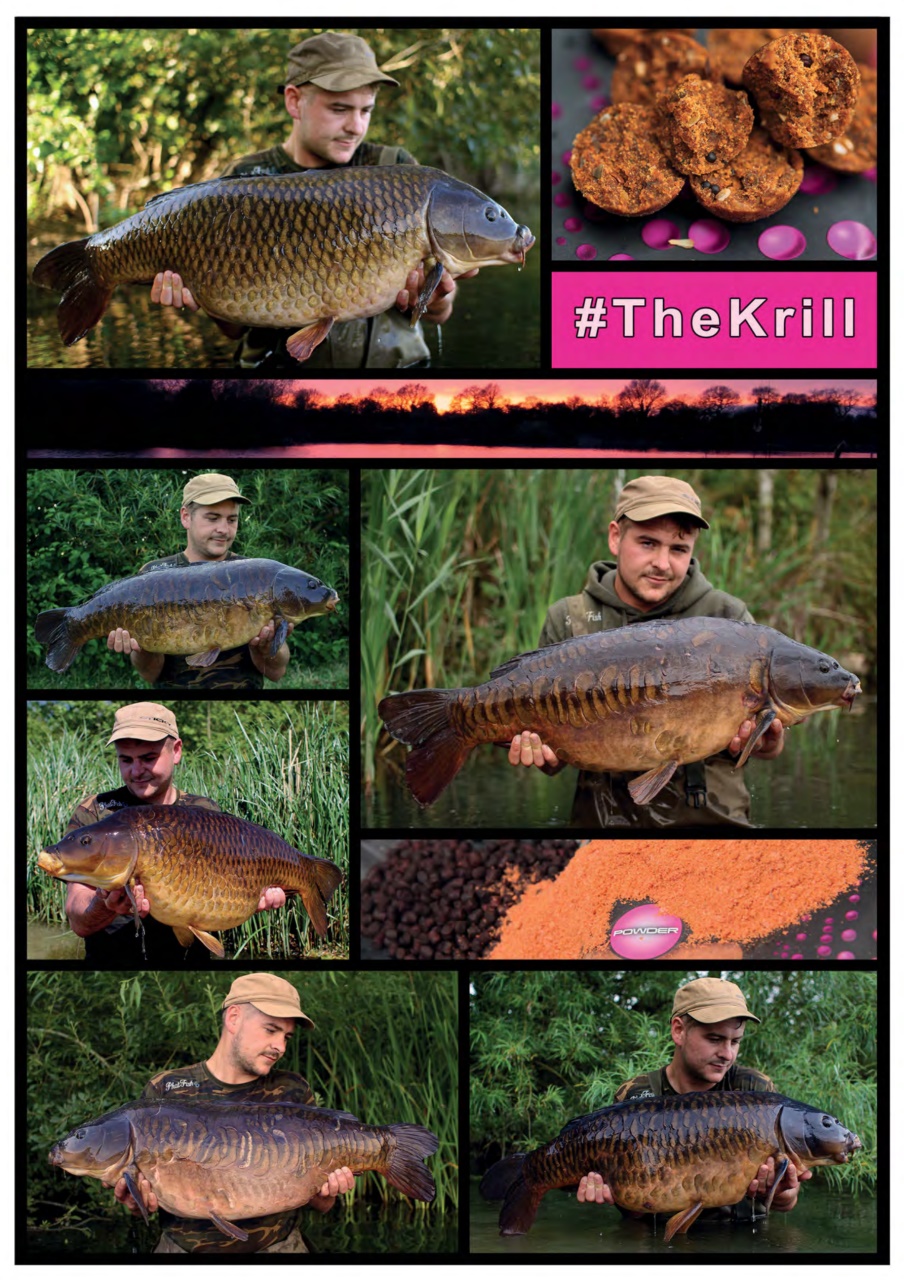 Crafty Carper Preview Pages