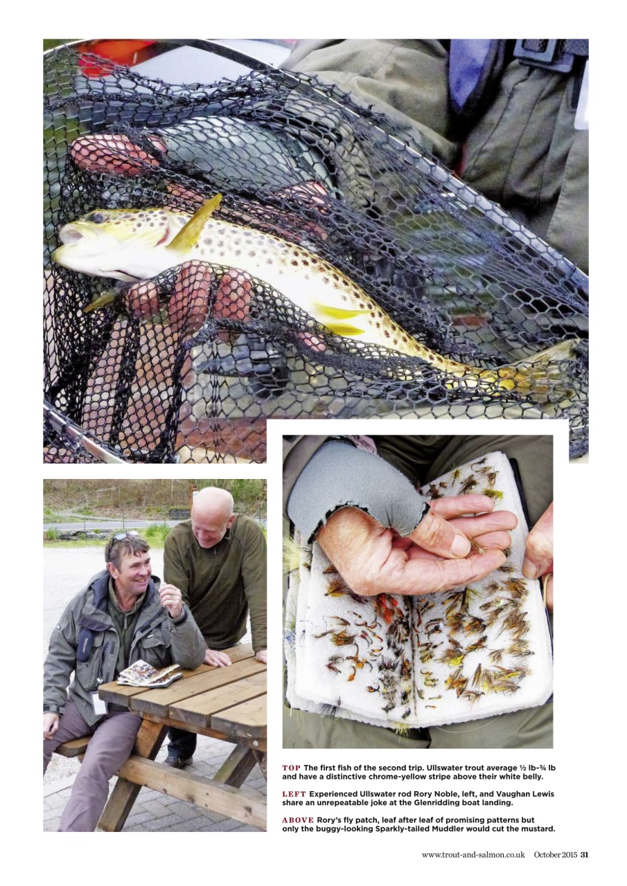Trout & Salmon Preview Pages
