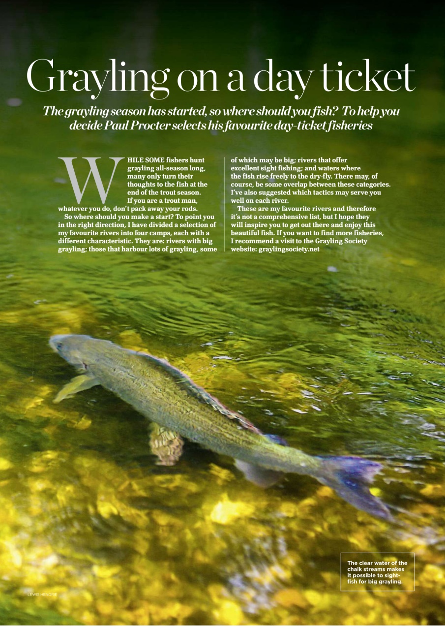 Trout & Salmon Preview Pages