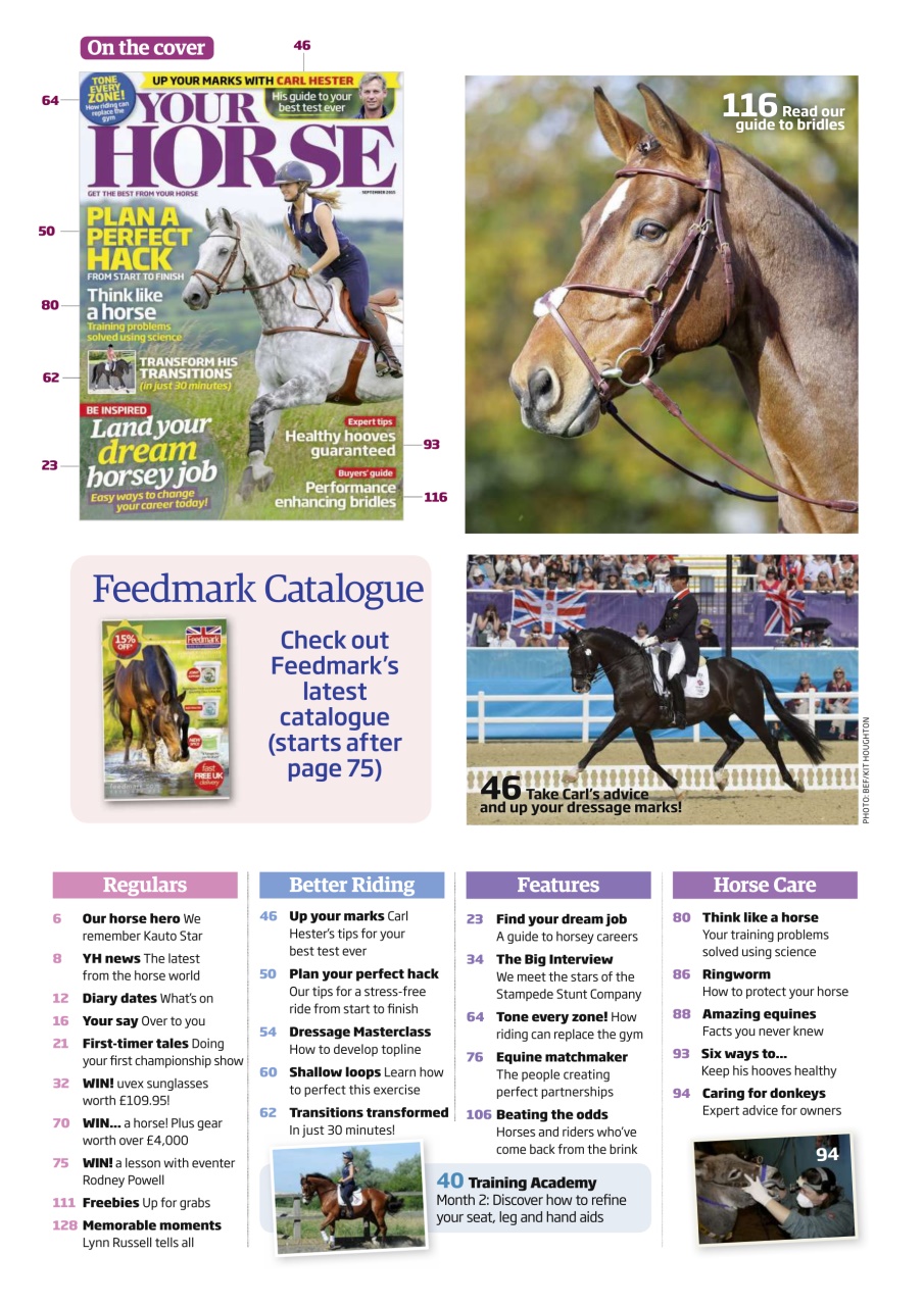 Your Horse Preview Pages