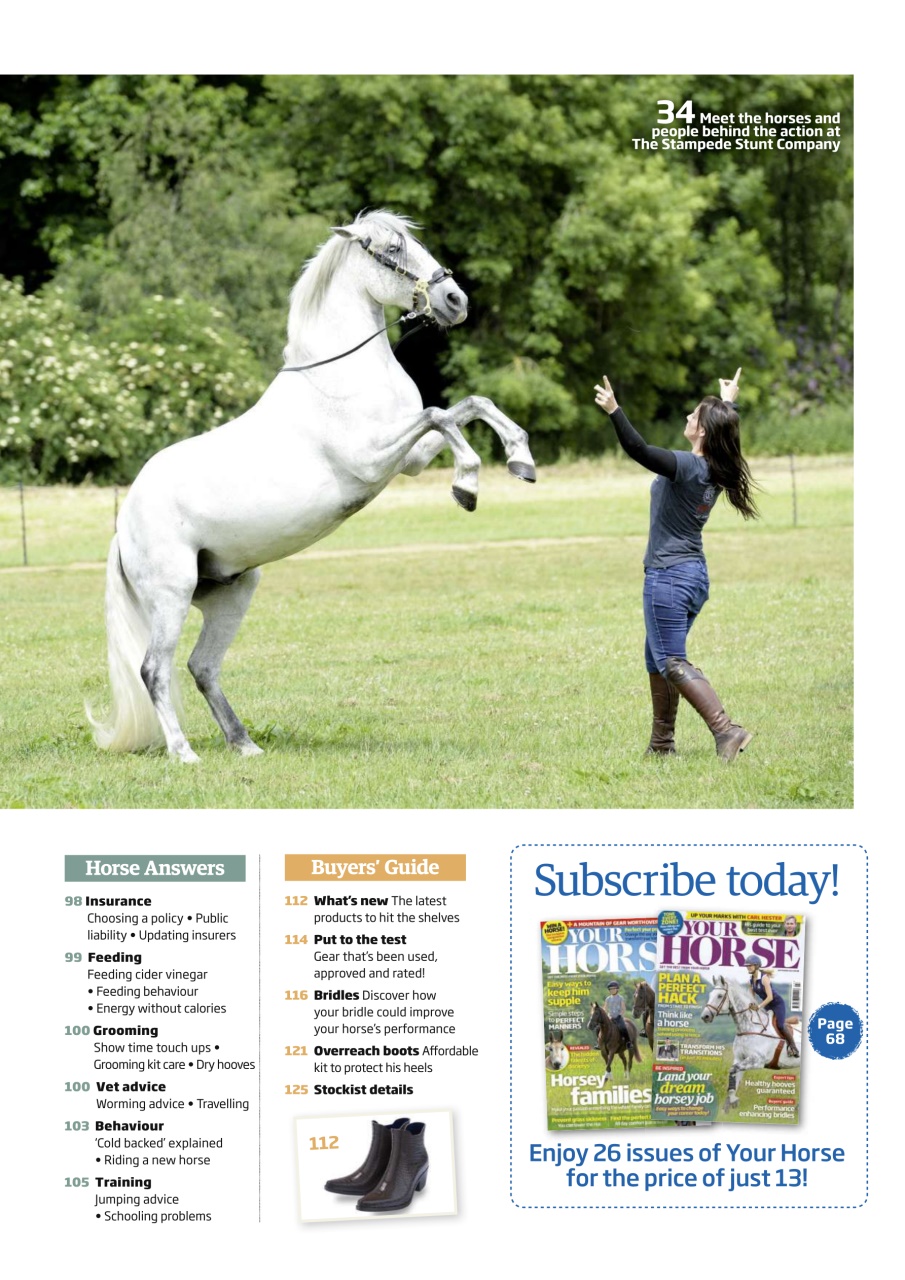 Your Horse Preview Pages