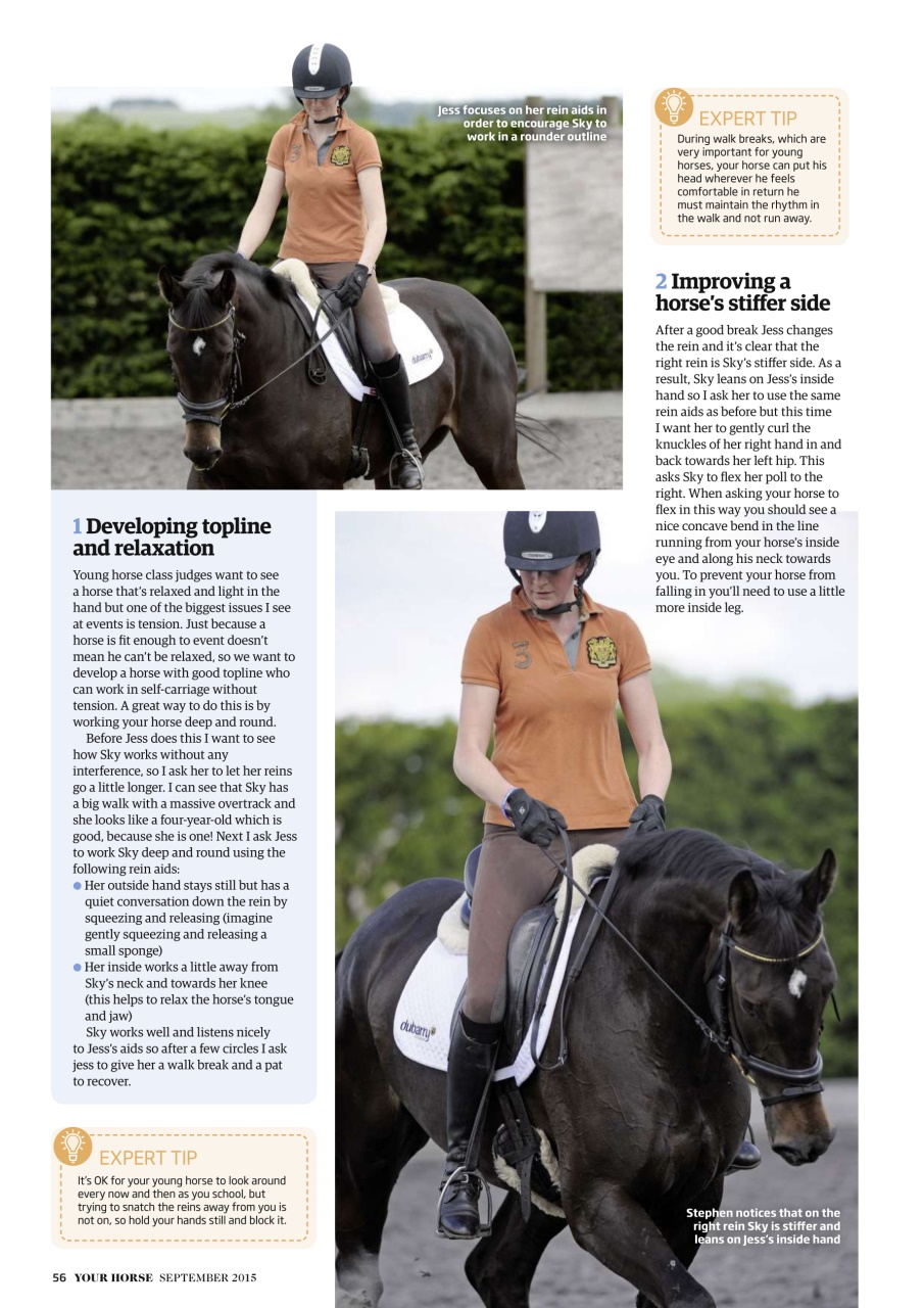 Your Horse Preview Pages
