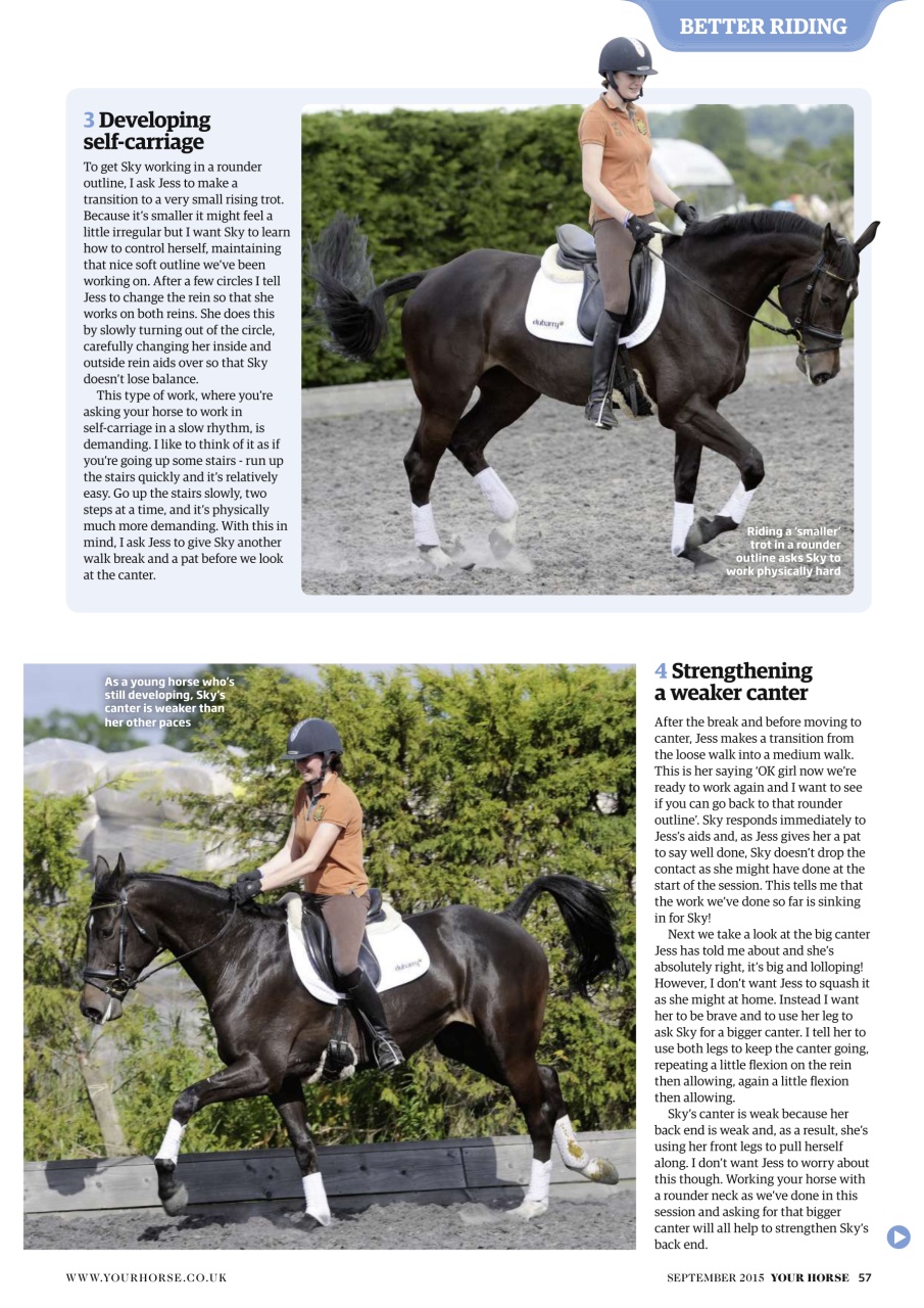 Your Horse Preview Pages