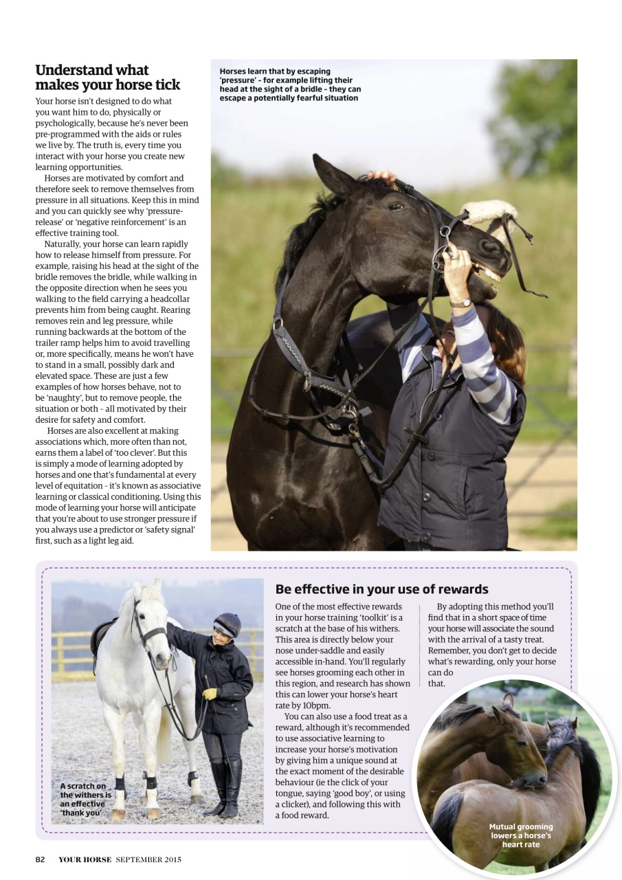 Your Horse Preview Pages