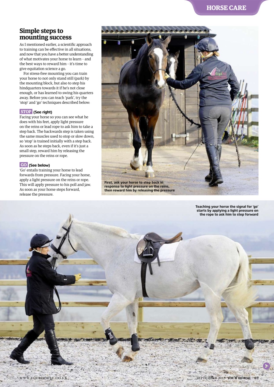 Your Horse Preview Pages
