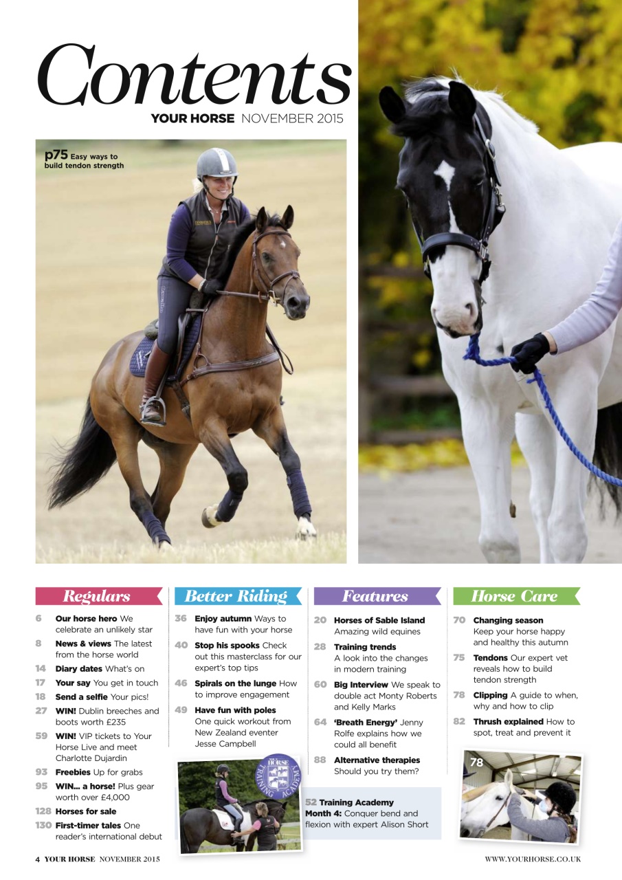 Your Horse Preview Pages