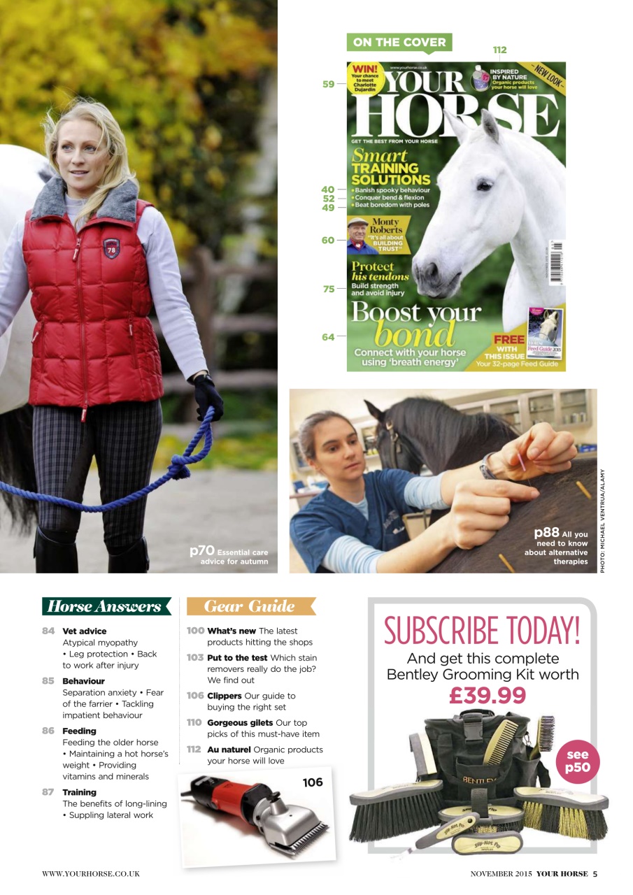 Your Horse Preview Pages