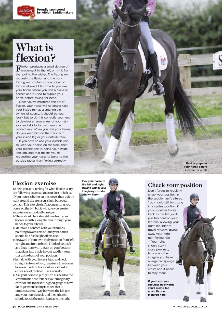 Your Horse Preview Pages