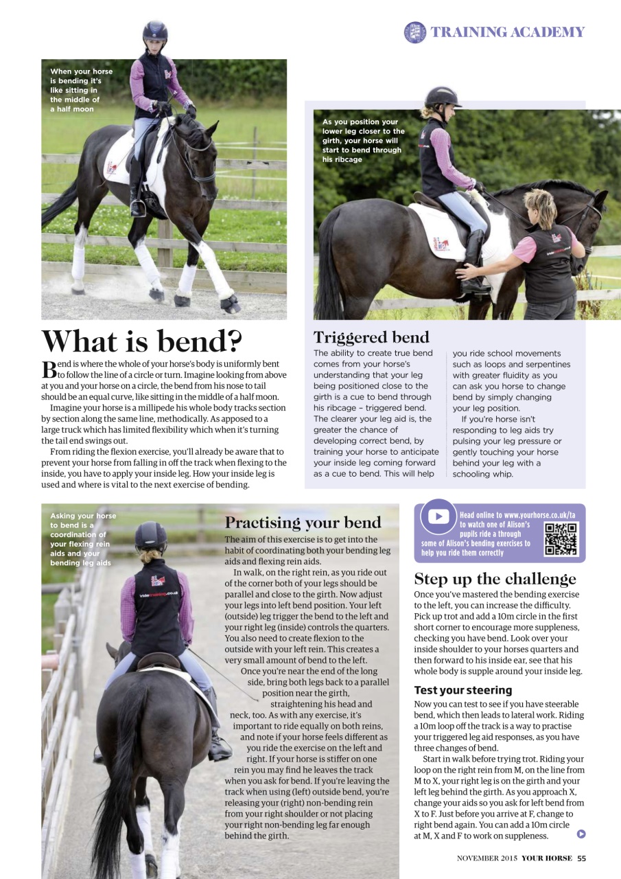 Your Horse Preview Pages