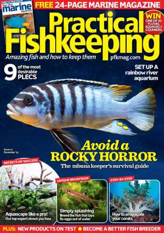 Practical Fishkeeping issue November 2015