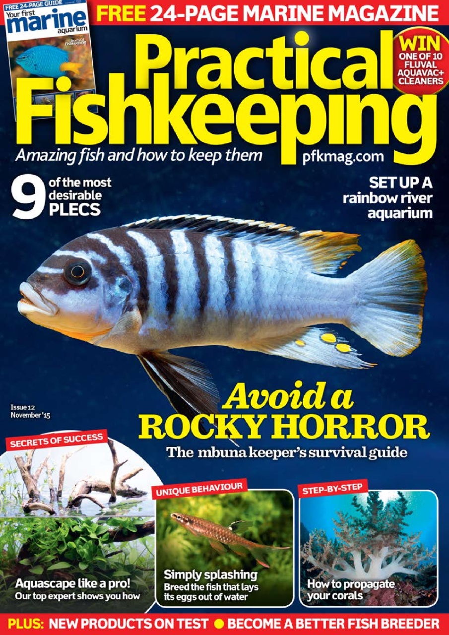Practical Fishkeeping Preview Pages