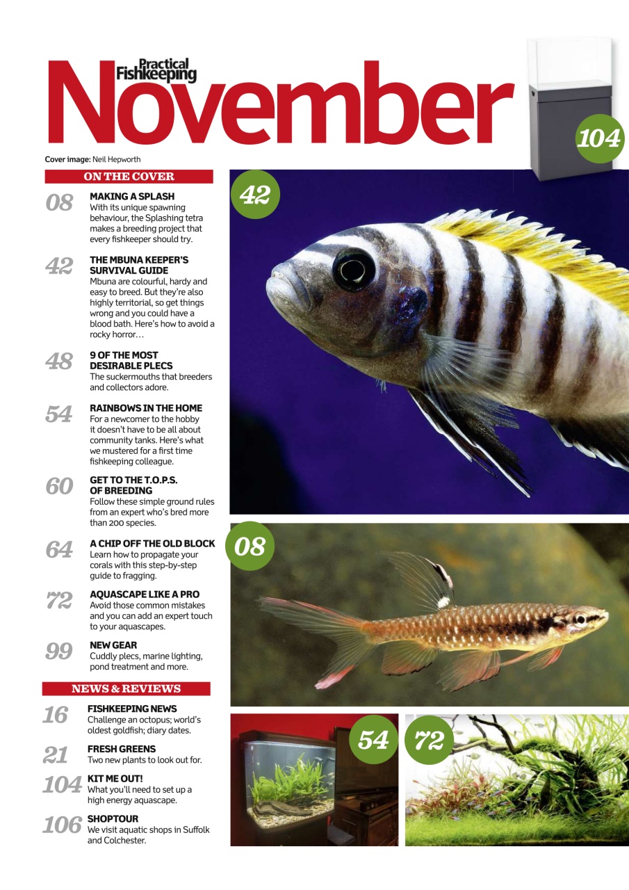 Practical Fishkeeping Preview Pages