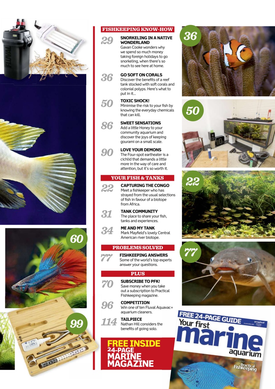Practical Fishkeeping Preview Pages