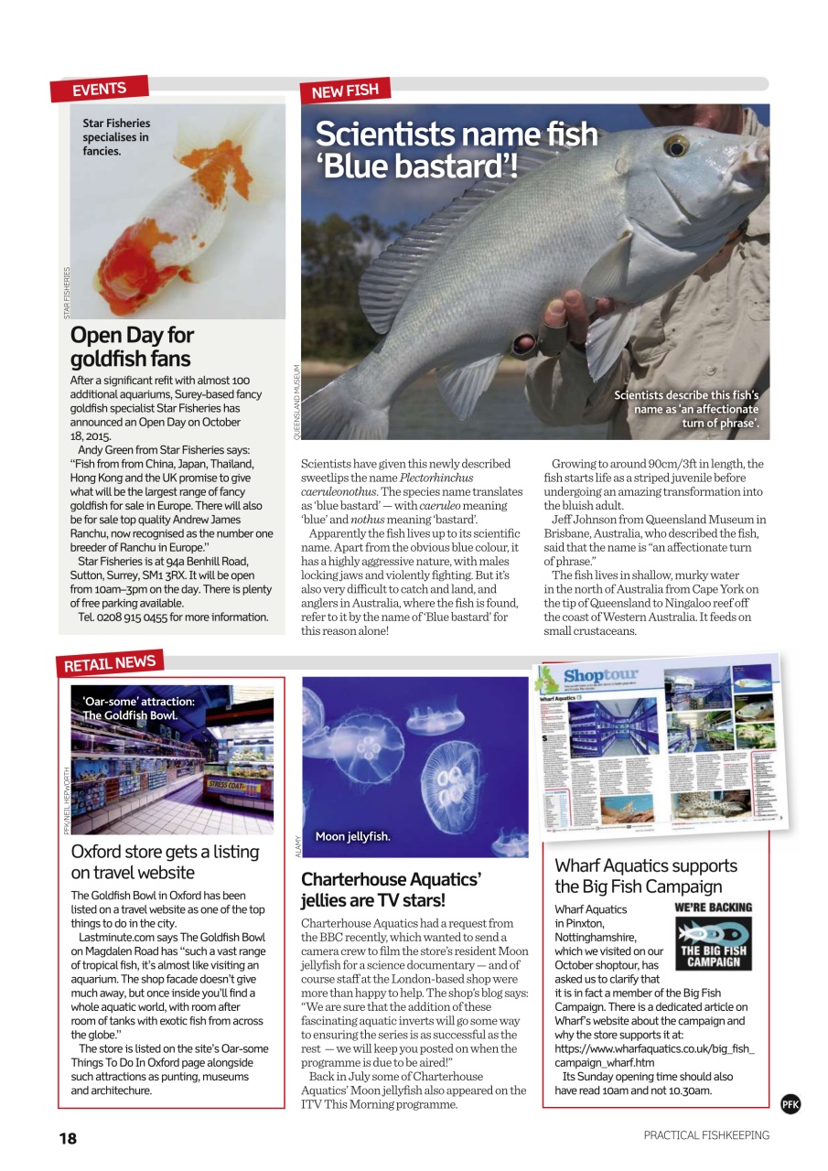 Practical Fishkeeping Preview Pages