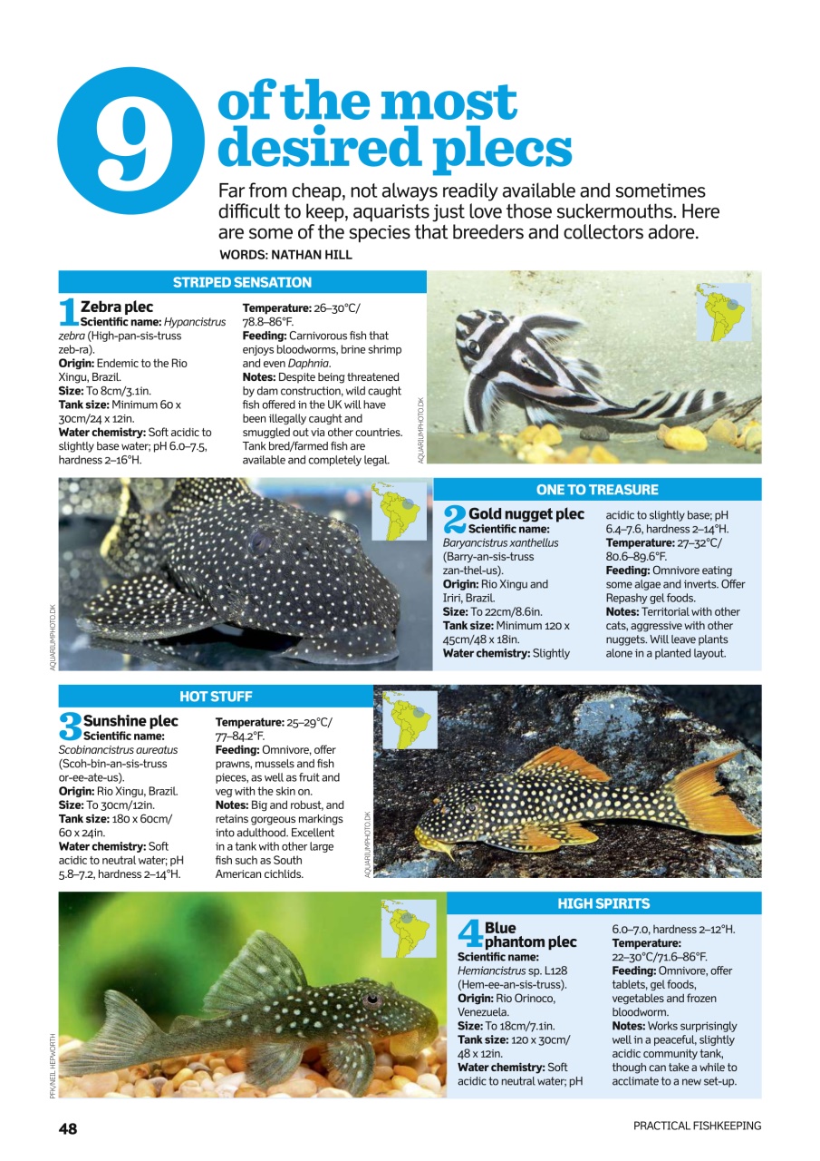 Practical Fishkeeping Preview Pages
