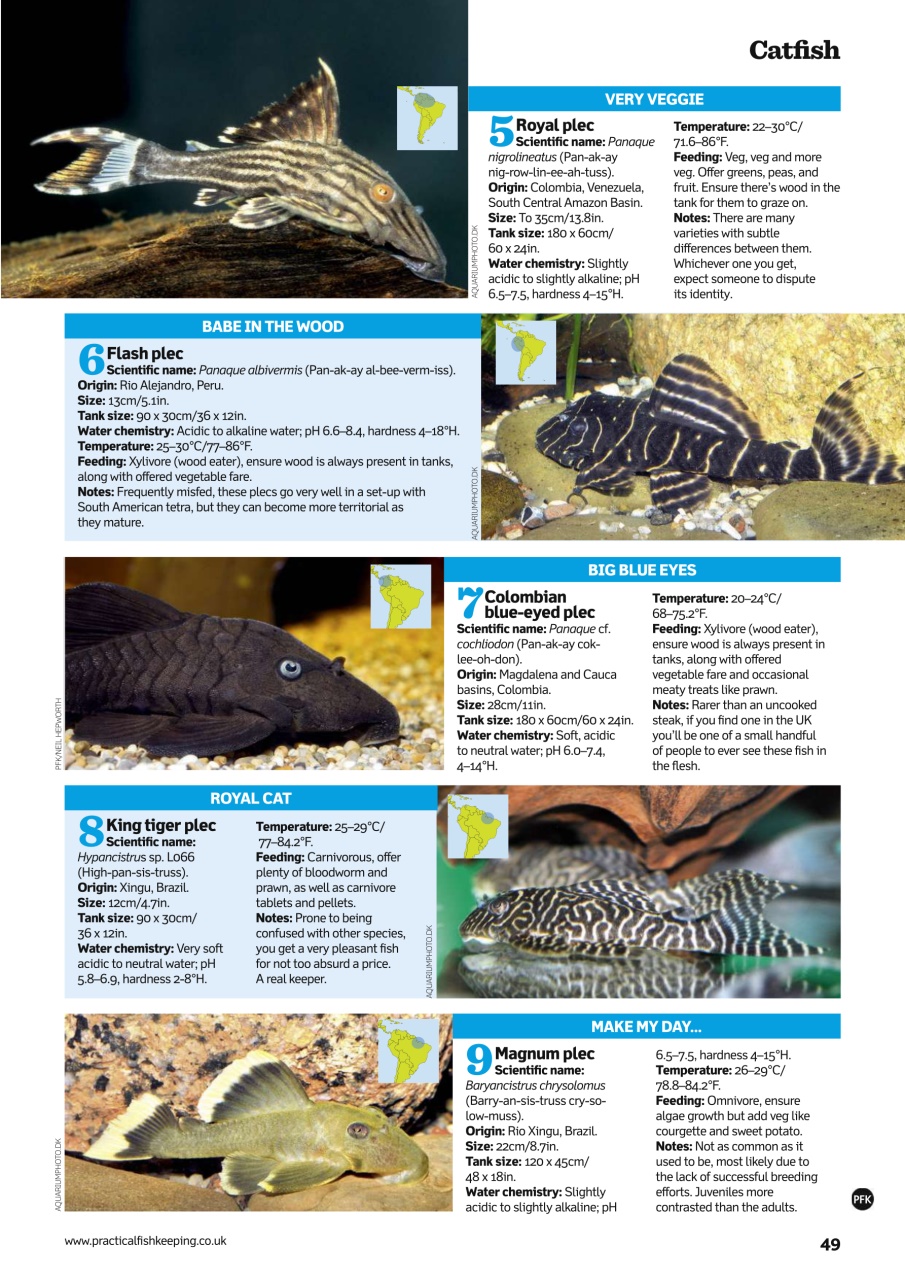 Practical Fishkeeping Preview Pages