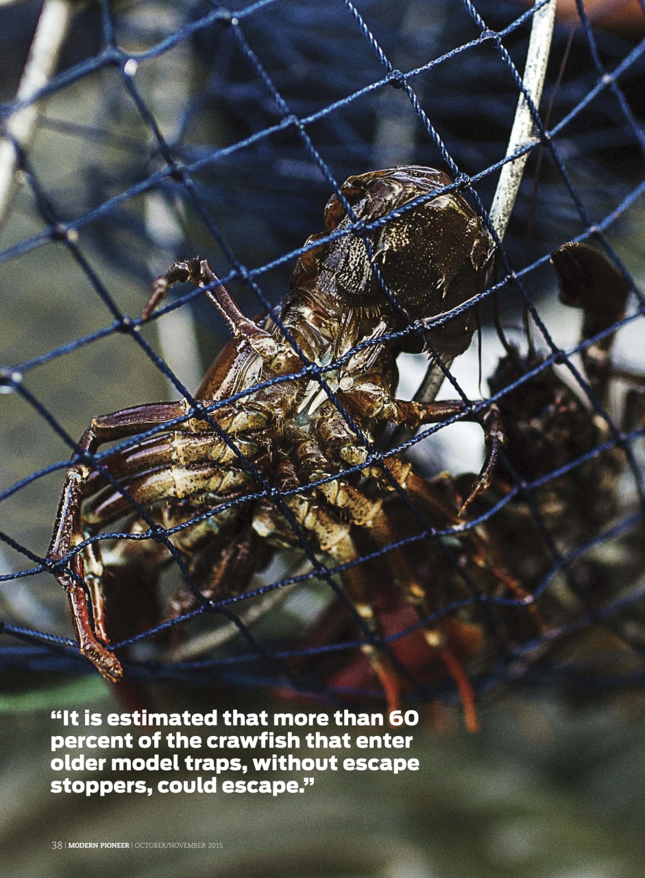 Modern Pioneer Preview Pages