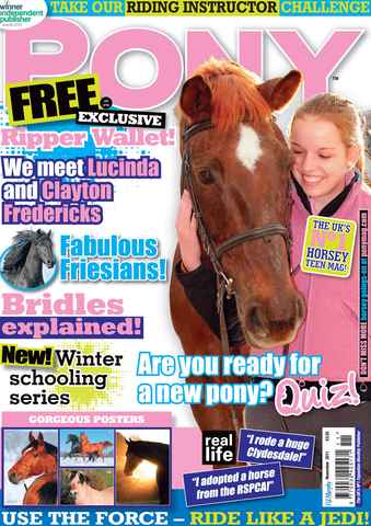 Pony Magazine issue November 2011