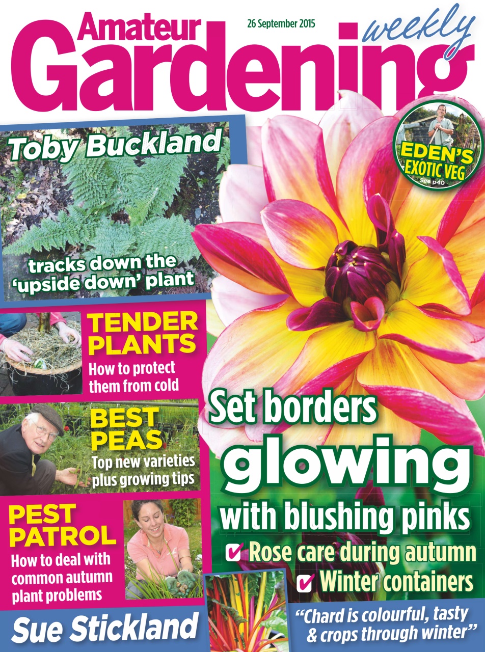 Amateur Gardening Preview Pages