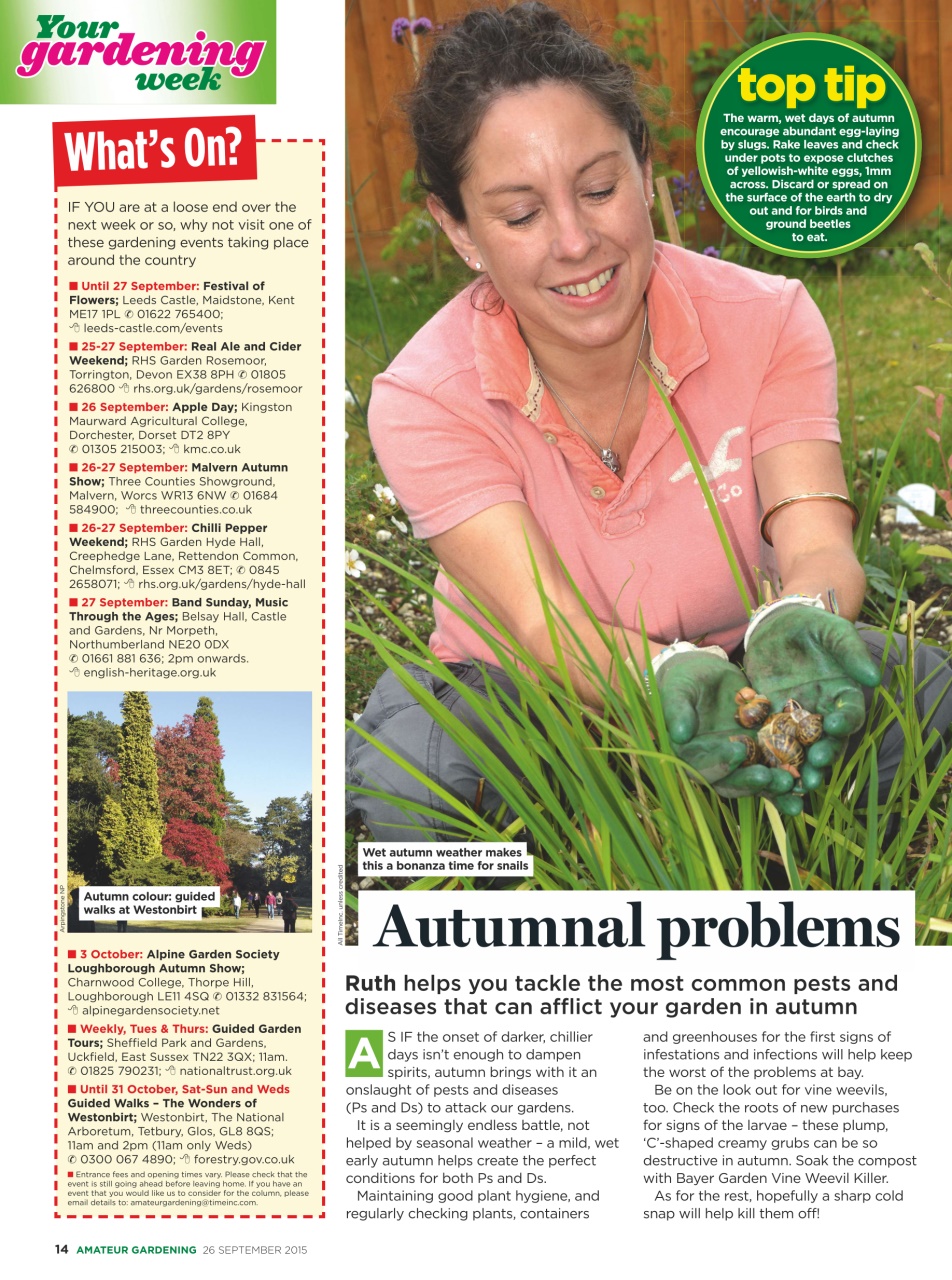 Amateur Gardening Preview Pages