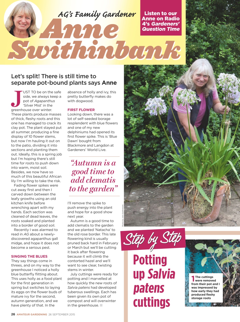 Amateur Gardening Preview Pages