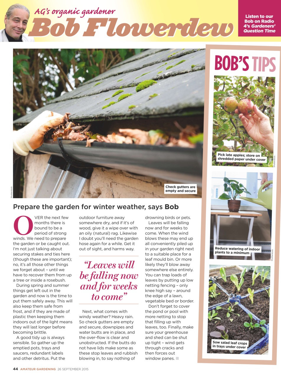 Amateur Gardening Preview Pages