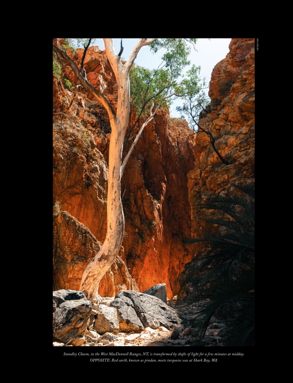 OUTBACK Magazine Preview Pages