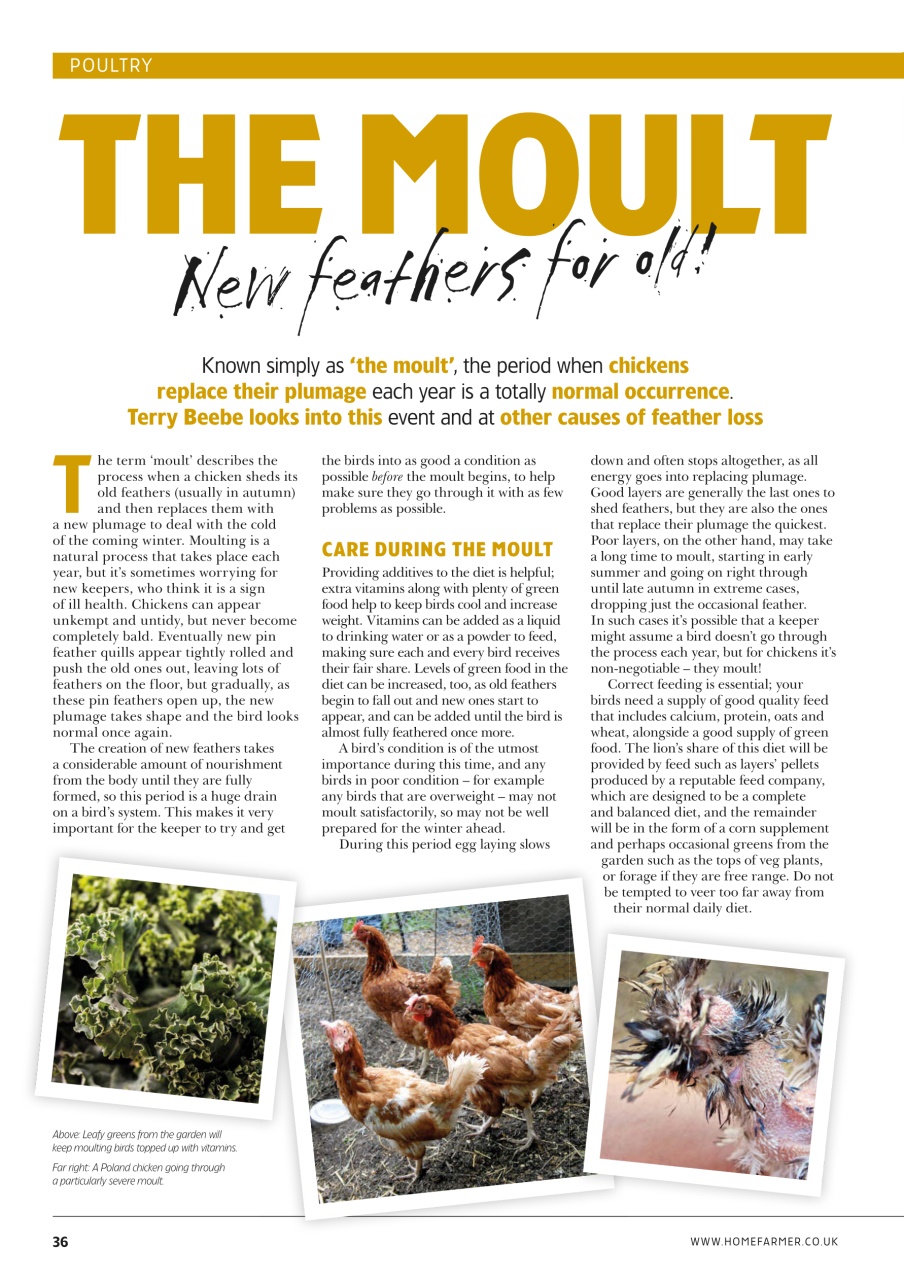 Home Farmer Magazine Preview Pages