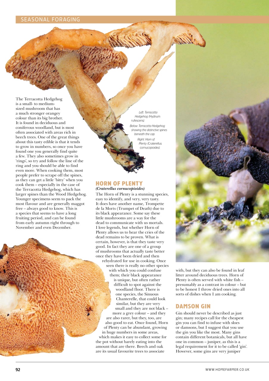 Home Farmer Magazine Preview Pages