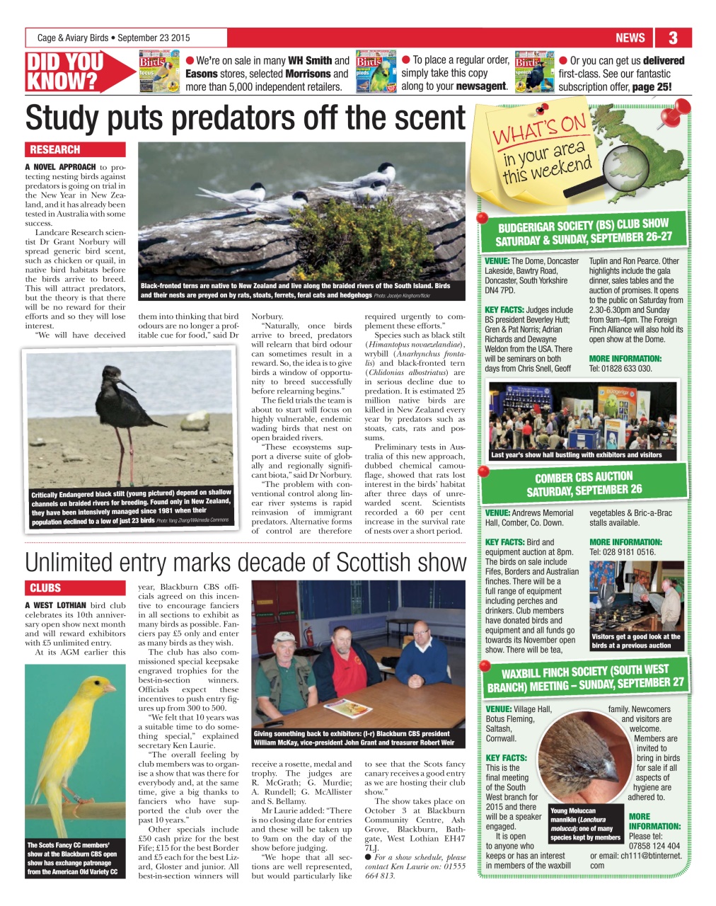 Cage & Aviary Birds Preview Pages