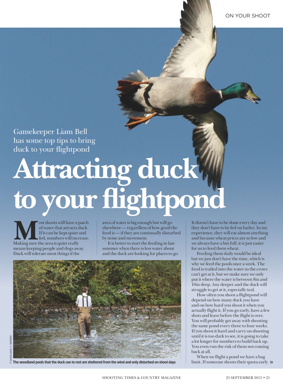 Shooting Times & Country Preview Pages