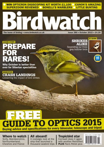 Birdwatch Magazine issue 