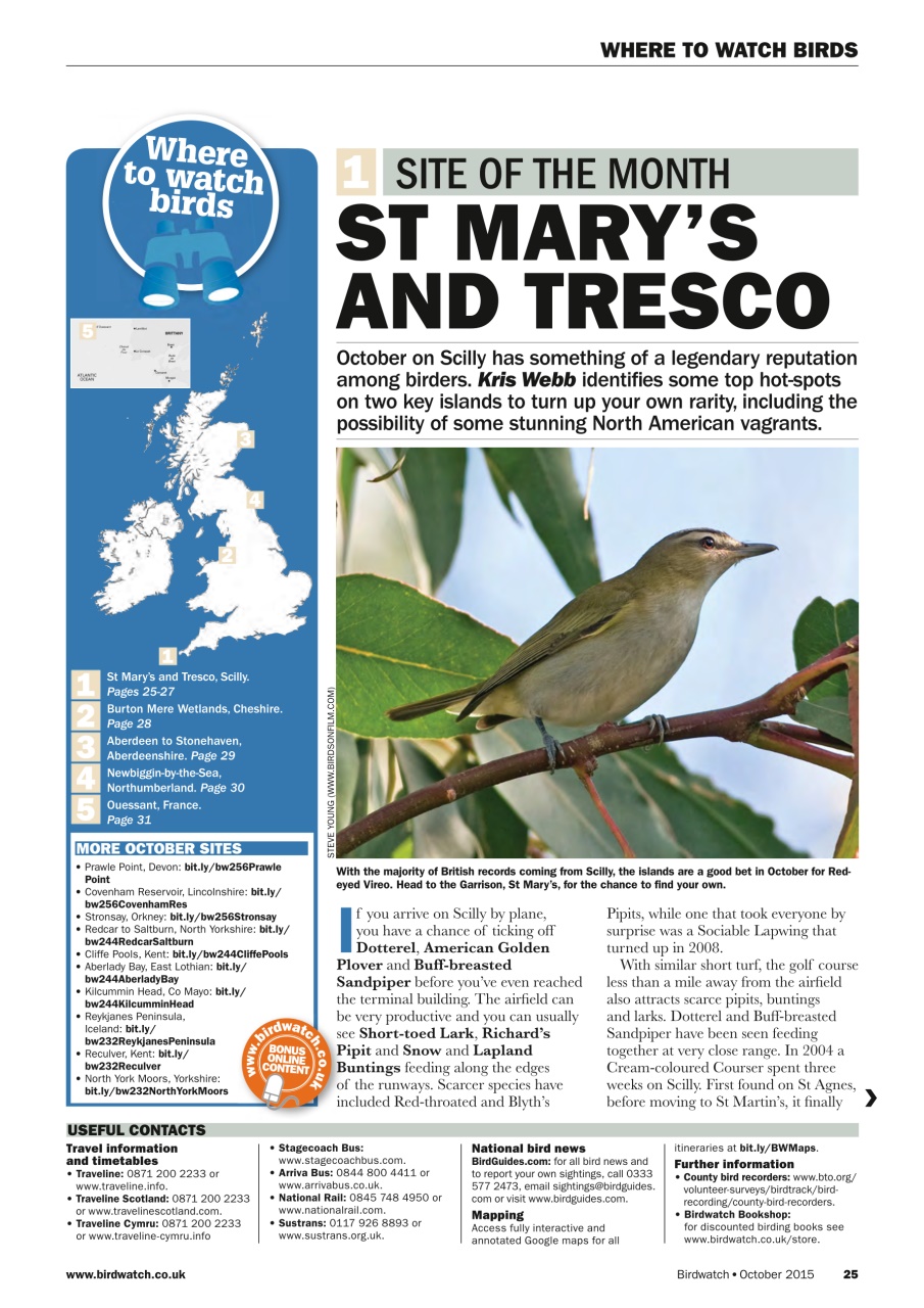 Birdwatch Magazine Preview Pages